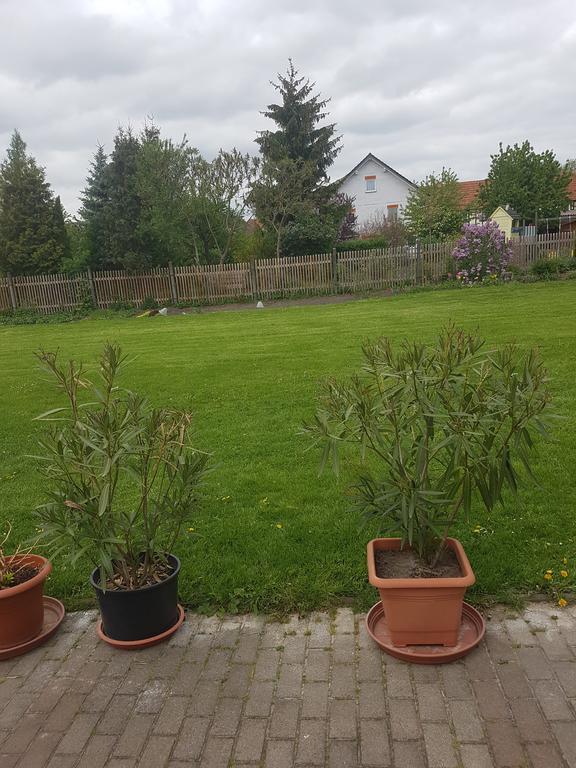 Kleines Schmuckstueck Appartement *